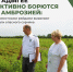 Владельцы земель обязаны уничтожать опасный сорняк по закону. - Гиагинский район