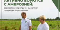 Владельцы земель обязаны уничтожать опасный сорняк по закону. - Гиагинский район