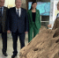 По народной программе в Нижневартовске может появиться выставочный павильон краеведческого музея - Единая Россия