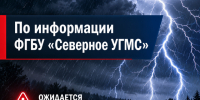Предупреждение № 171. - Красноборский муниципальный округ