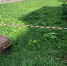 БПЛА упал на территории жилого комплекса в Нижнем Новгороде: что известно - фото 1 - vGorodeN.Ru