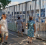 Фото из архива редакции - Стань частью истории города!:  День города Новочебоксарска - Газета Грани