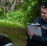 В Петербурге сократилось количество должников по штрафам за парковку на газонах - Санкт-Петербург.ру