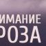Сильный дождь, гроза, усиление северного ветра порывами 15-23 м/с местами по Архангельской области ожидается ночью и днём 13 августа 2026 года. - Вилегодский муниципальный округ