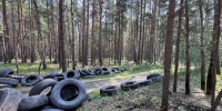В лесах Тюменской области ликвидируют несанкционированные свалки - MegaTyumen.Ru
