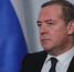 Дмитрий Медведев: «Никаких прав у европейских собак задерживать суда нет. Это чистой воды произвол» - Столица С