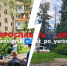 Упавшее дерево убило ярославца | Источник: Жесть Ярославль / Max - 76.Ru