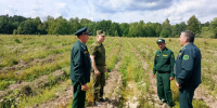 Министр лесного хозяйства РТ Равиль Кузюров посетил с рабочим визитом Рыбно-Слободский и Мамадышский муниципальные районы - Министерство лесного хозяйства
