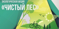 Сохраним леса вместе: акция «Чистый лес» пройдёт в Истре - Газета Истра сегодня