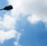 cloudy-electricity-street-light-concept - ТРК Щелково