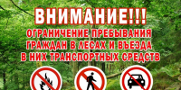 Запрет на посещение лесов в Ростовской области продлён: ограничение будет действовать до 3 сентября - Ростов161