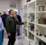 Губернатор оценил новое интерактивное оборудование Плюсской районной модельной библиотеки - Pln-Pskov.Ru