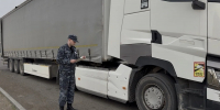 Бахчевой сезон: Алтайский край импортировал более 2 тысяч тонн арбузов и дынь - Сетевое издание Толк