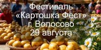 Волосово готовится к гастрономическому фестивалю «Картошка Фест» - Online47.Ru