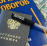 Половина самарцев улучшает свои профессиональные навыки на работе - Комсомольская Правда Самара