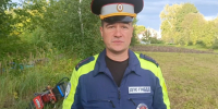 Мотоциклист врезался в дерево и погиб в Нижегородской области - фото 1 - vGorodeN.Ru