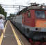 Из Мариуполя в Зеленогорск приехали на отдых 262 школьника - Spbdnevnik.ru