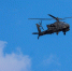 В Техасе разбился ударный вертолёт вооруженных сил США AH-64 Apache - РТВ-Подмосковье
