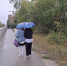 Ветрено и до +17 градусов: погода в Якутске 13 августа - Якутское-Cаха ИА