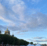 В Петербурге открылся фестиваль «Ленинградские мосты» - ЛенТВ24