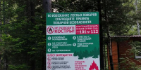 Жители Бурятии платят огромные штрафы за лесные пожары - ИА Байкал-Daily