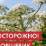 Внимание, правообладатели земельных участков (собственники, арендаторы, землепользователи, землевладельцы) Вяземского муниципального района! - Город Вяземский