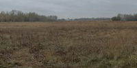 Прокурор запросил для охотника 1,5 года в колонии-поселении по делу об убийстве главы Ленинского района Новосибирска - Сибкрай.ru