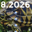 Bazaart_A050BA8A-04F3-4627-8AD1-15E5AF77599A - ЗА Новомосковск