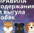 Правила содержания домашних животных: что нужно знать каждому владельцу - Вяземский район