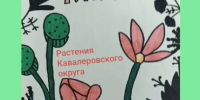 Школьники Кавалеровского округа создали собственную Красную книгу - Министерство образования