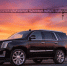 В Карелии на торги выставлены арестованные Cadillac, Dodge и автокран - StolicaOnego.Ru