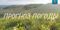 Прогноз погоды с 13 по 15 августа - Кувандыкский городской округ