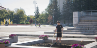 Взамен старых елей на центральной площади города высаживают молодые деревья - Администрация г. Курган