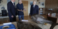 Путин впервые посетил Курильские острова и там раскрыл генетический код россиян - Teleport2001.Ru
