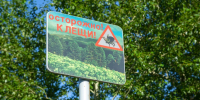 За неделю клещи укусили 126 жителей Красноярского края - Комсомольская Правда
