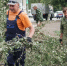 В Бузулуке устраняют последствия урагана - Единая Россия