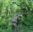 На полигоне учебного центра Южного военного округа прошли тактические учения - Семикаракорский район