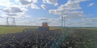 В хозяйствах района продолжается комплекс агротехнических работ - Балтачевский район