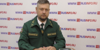 Замминистра лесного хозяйства Хакасии - коротко о важном в сборе валежника - ИА Хакасия