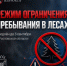 Режим ограничения пребывания в лесах продлен до 3 сентября - Октябрьский район