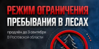Режим ограничения пребывания в лесах продлен до 3 сентября - Октябрьский район