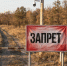 Дончанам запретили ездить в леса до 3 сентября - Bloknot-Rostov.Ru