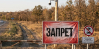 Дончанам запретили ездить в леса до 3 сентября - Bloknot-Rostov.Ru