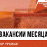 Названы вакансии месяца в Тульской области - ИА Тульская пресса.Ru