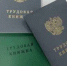 Минпросвещения утвердило новые правила и список классов для второй смены - KrasnodarMedia