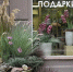 «Летняя фантазия»: итоги конкурса подведены - Город Мурманск