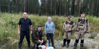 Супруги из Петрозаводска отправились в лес за ягодами и заблудились - StolicaOnego.Ru
