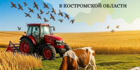 Государственная поддержка малого агробизнеса в Костромской области: ключевые условия предоставления средств в 2026 году - Департамент АПК