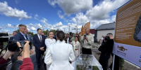 Picture background - Единая Россия