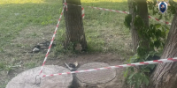 Оренбуржец пойдёт под суд за убийство сожительницы - Time56.Ru